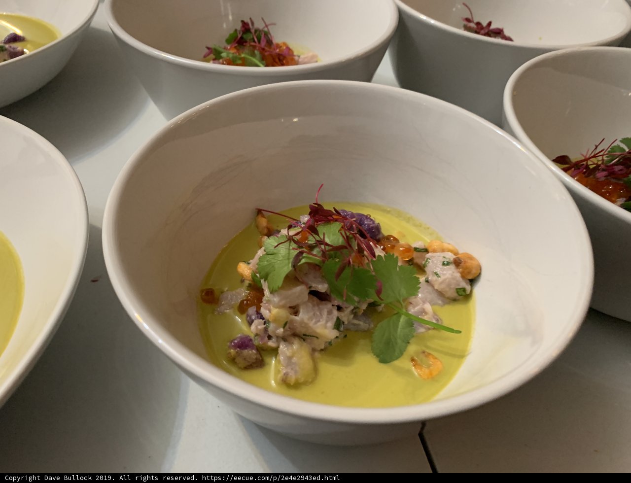 Garden Delight Soup