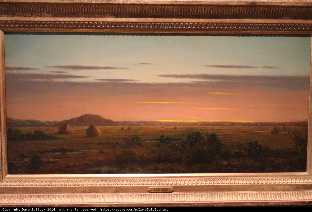 A Serene Sunset on the Grasslands