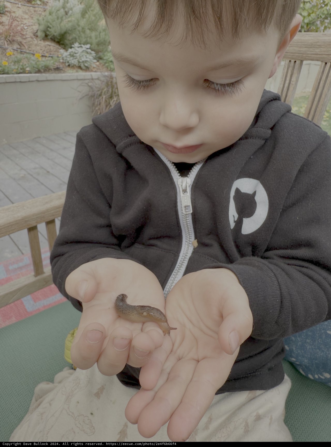 Young Child Gently Holding Small Garden Slug