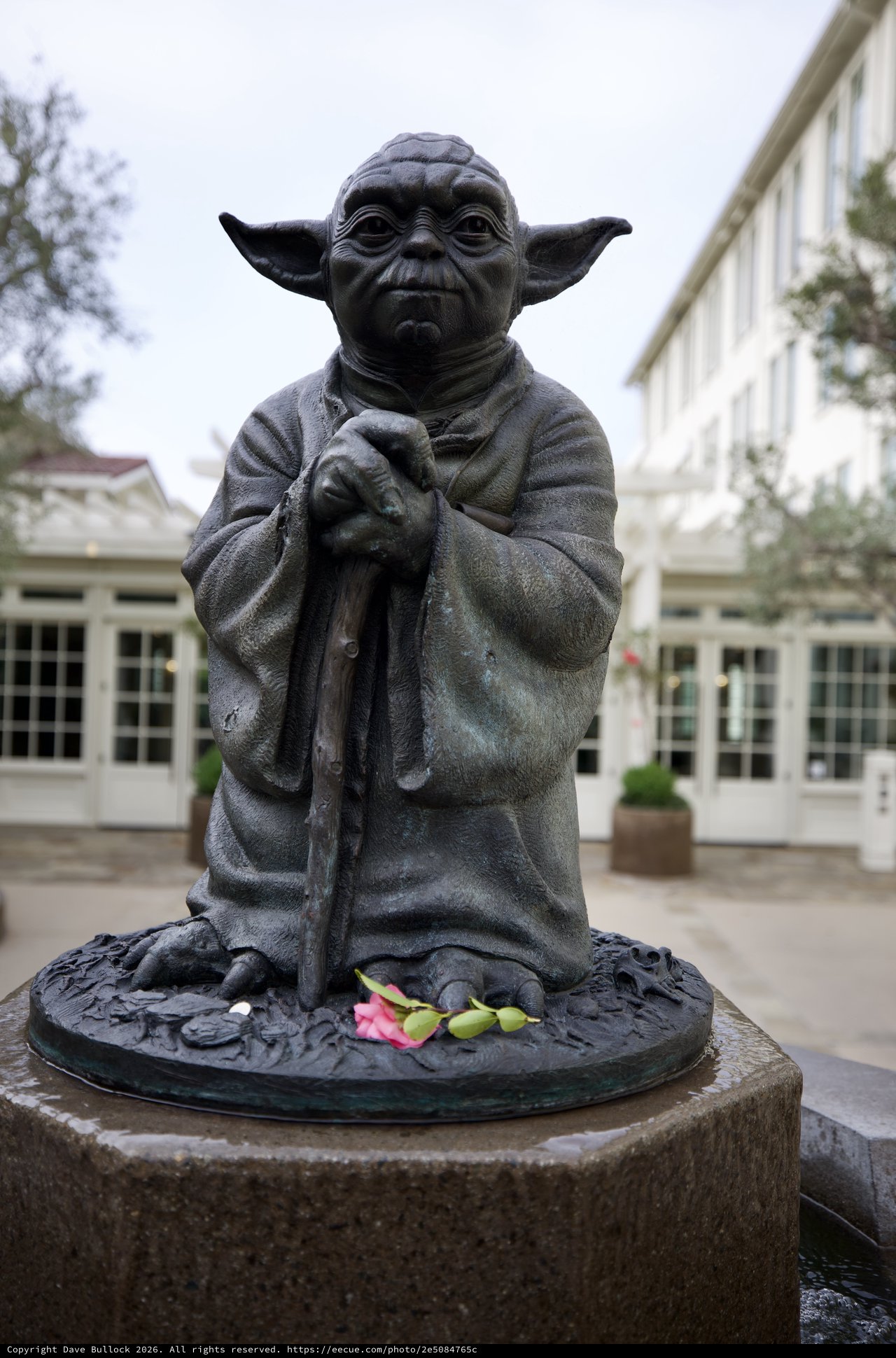 Yoda Statue at Skywalker Ranch with Offering