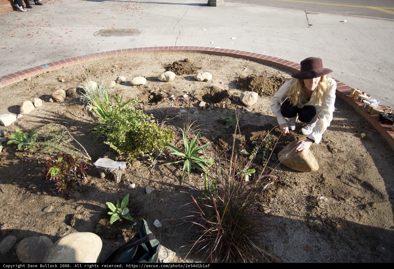 Guerrilla Gardening in Action