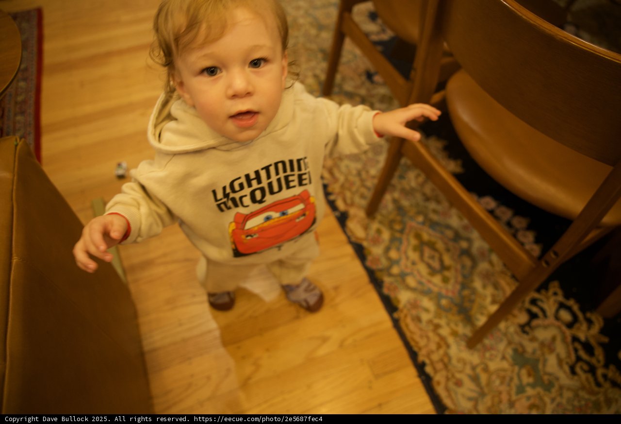Little Explorer in the Living Room
