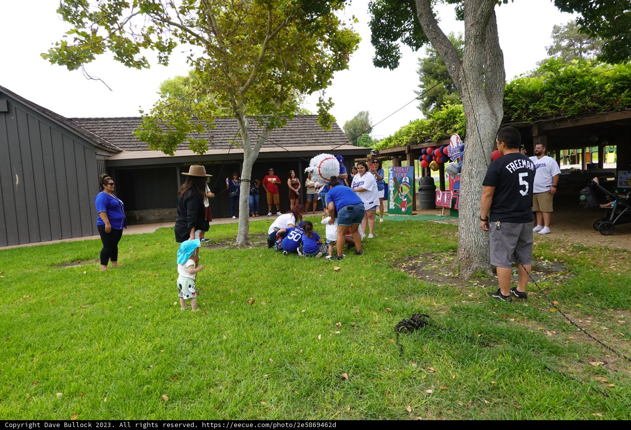 Community Under the Canopy