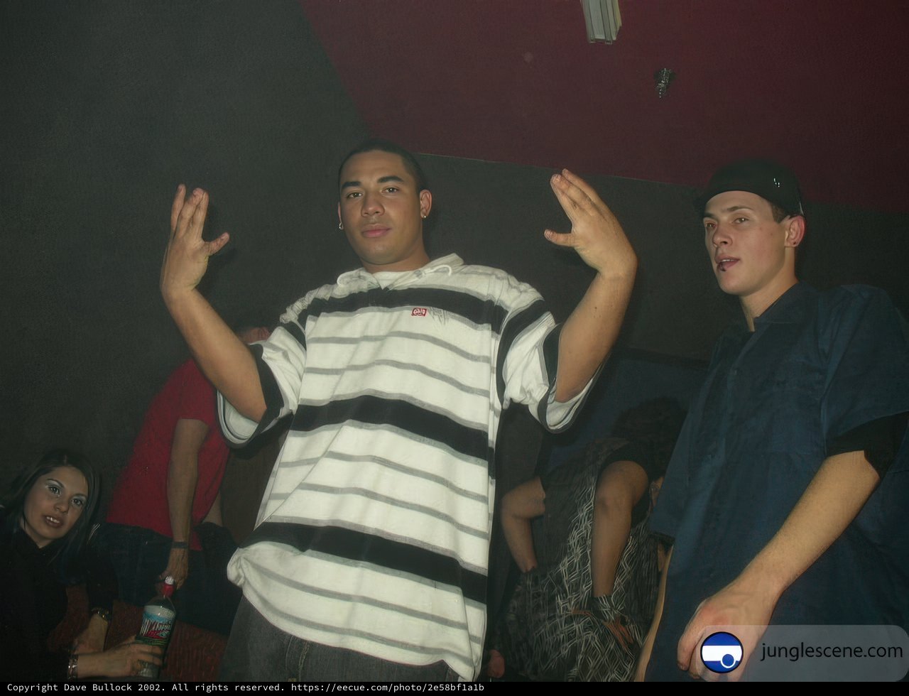 Nightclub Hands Up