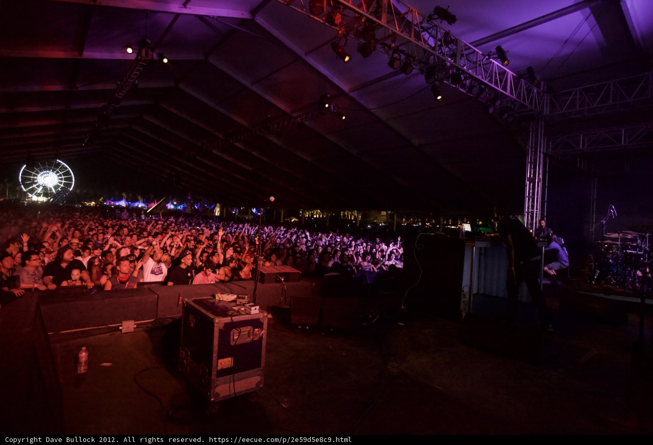Purple Haze Concert Madness