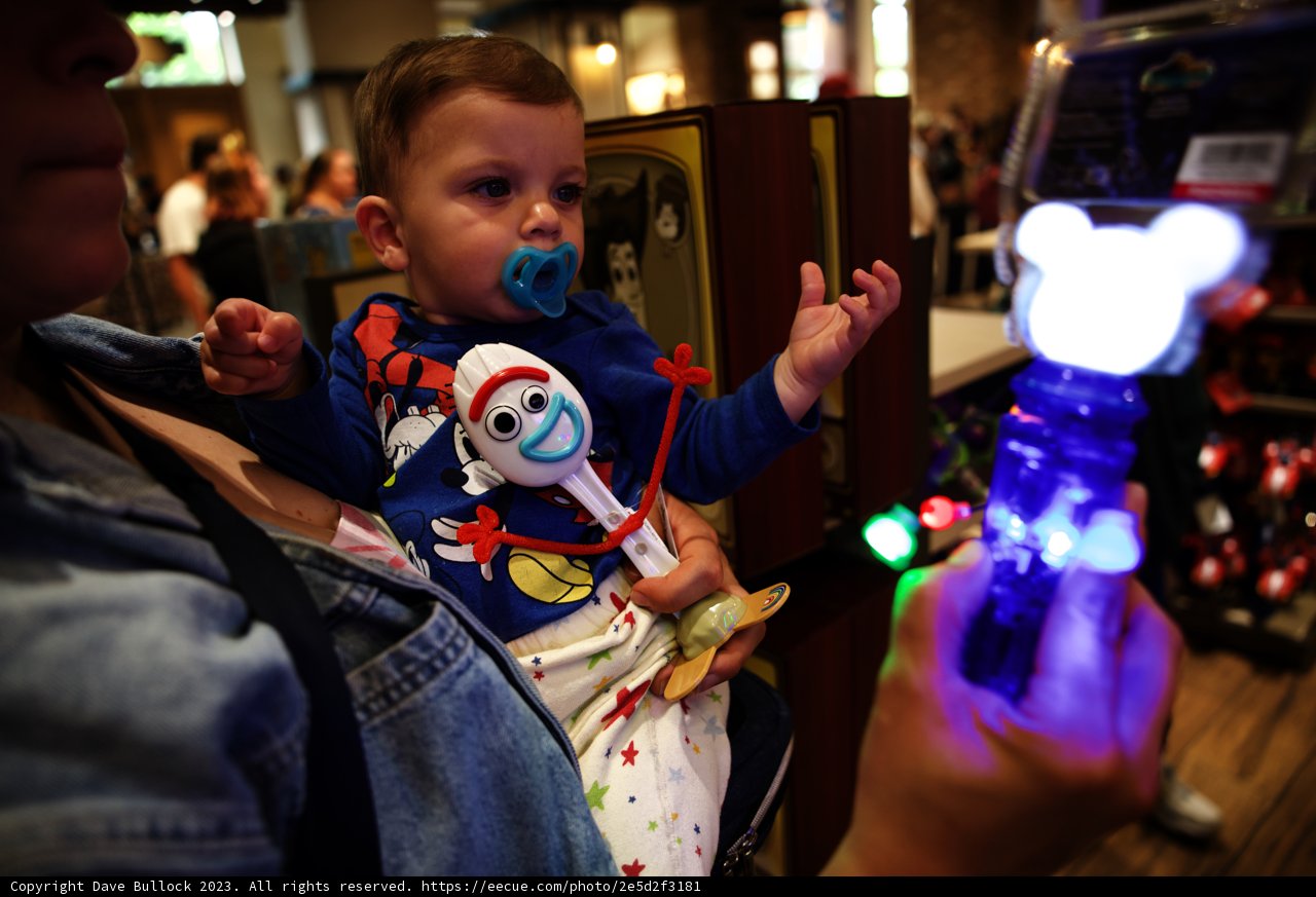 Magical Moments at Disneyland