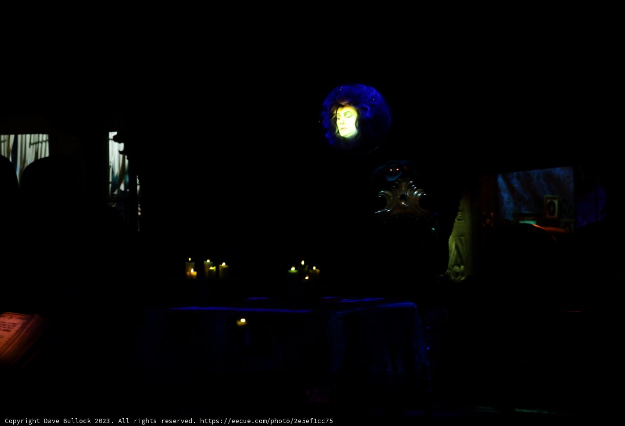 Enchanted Evening at Disneyland