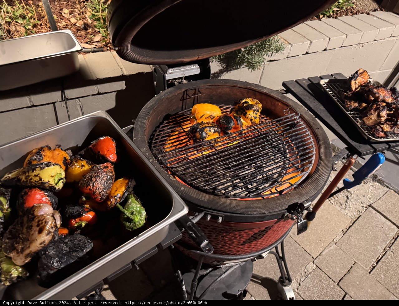 Evening Barbecue Bliss