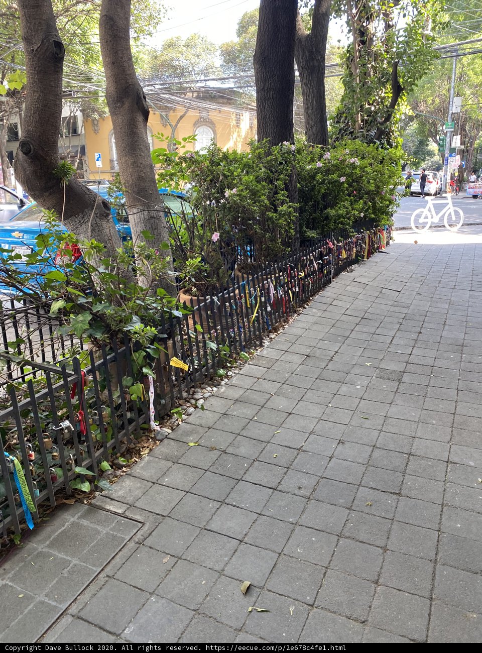Vibrant Fence
