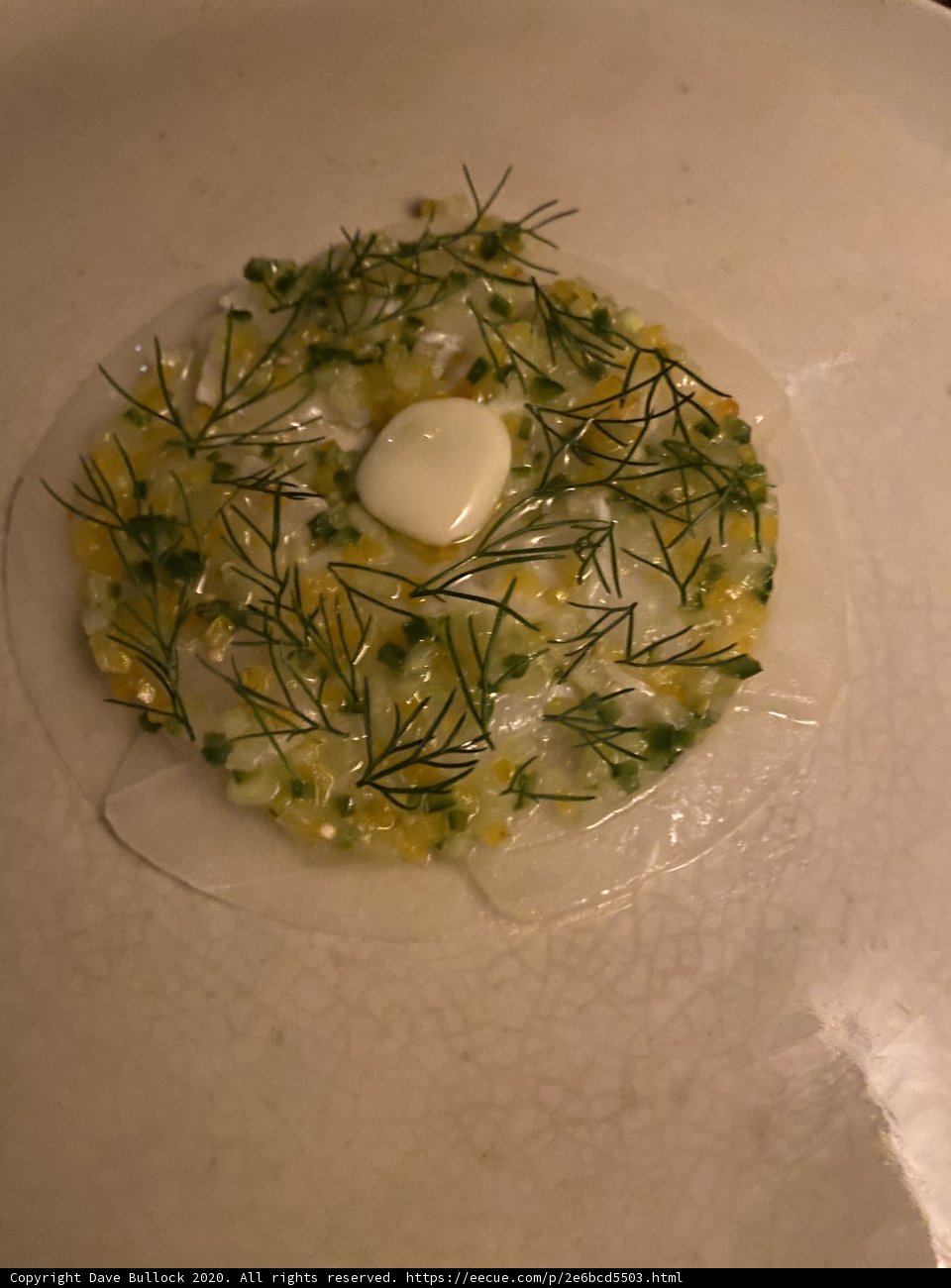 Poached Egg on a Bed of Greens
