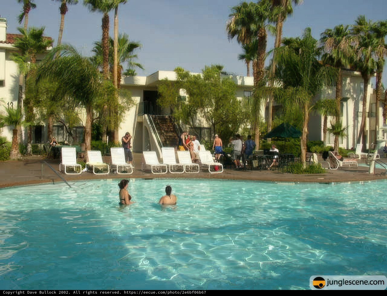 Paradise at the Resort