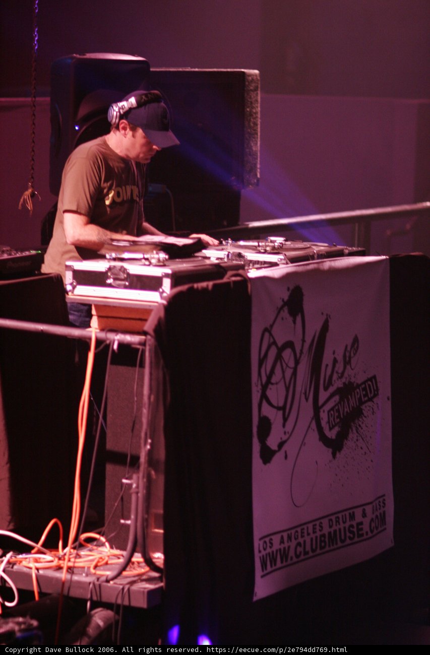 The Deejay's Crowd-Pleasing Performance