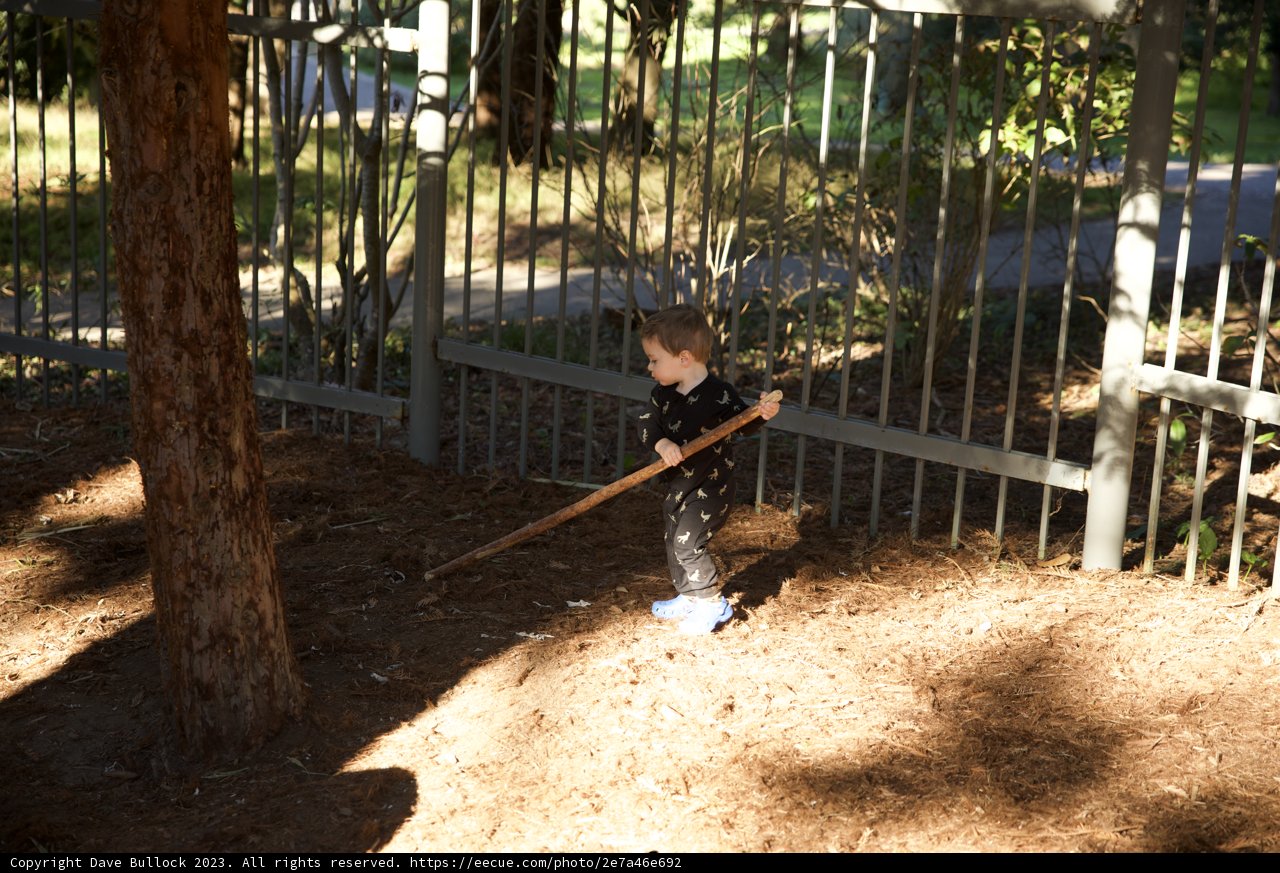 The Young Earthmover