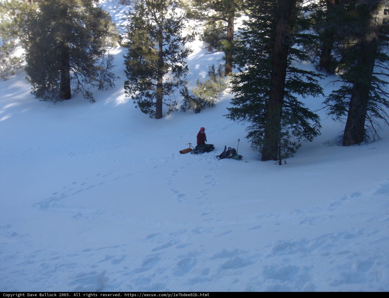 Winter Sports in the Wilderness
