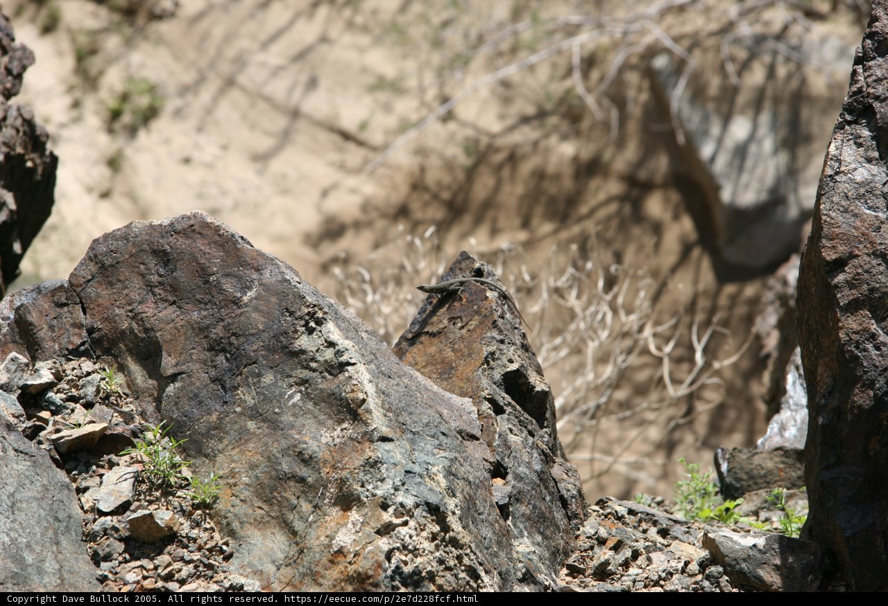 Solitude among the rocks