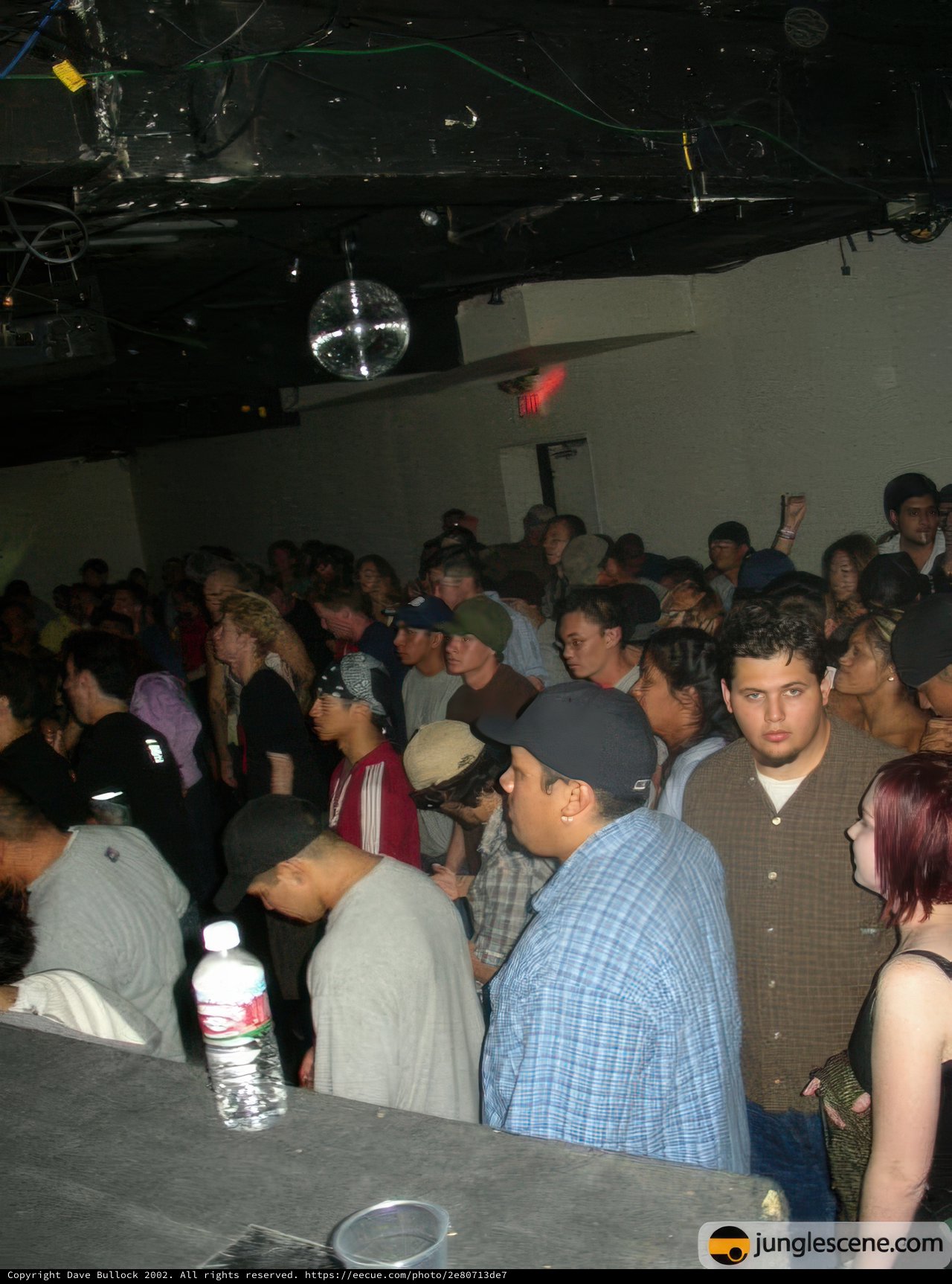 Nightclub Crowd