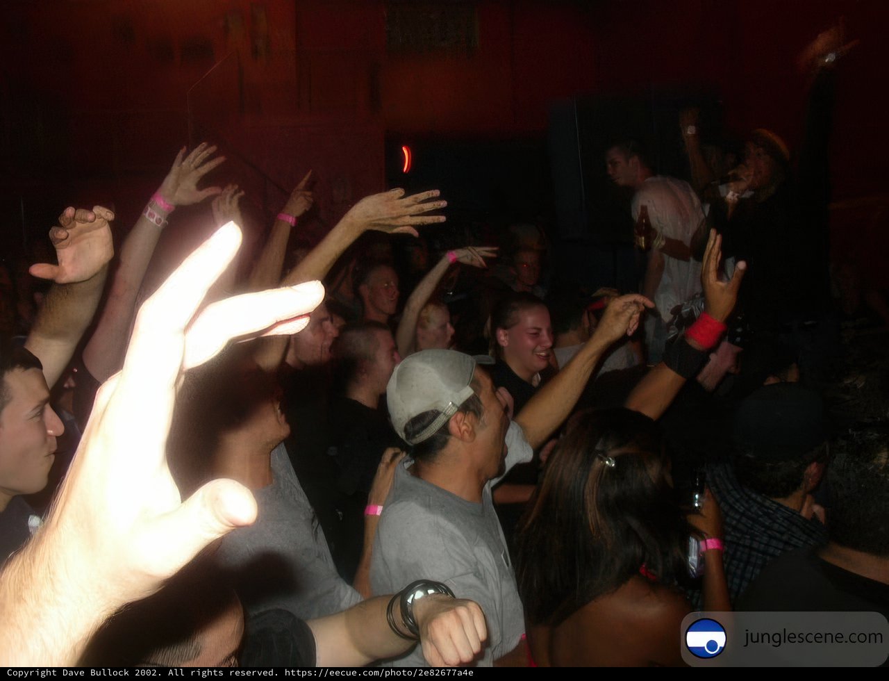 Nightlife Crowd at Disco Club