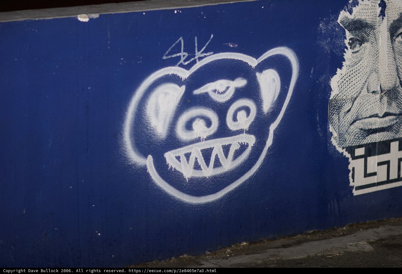 Monkey Mural