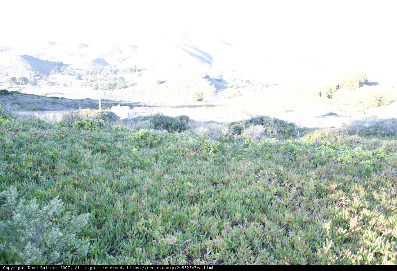 Lone Hydrant in Mountain Field