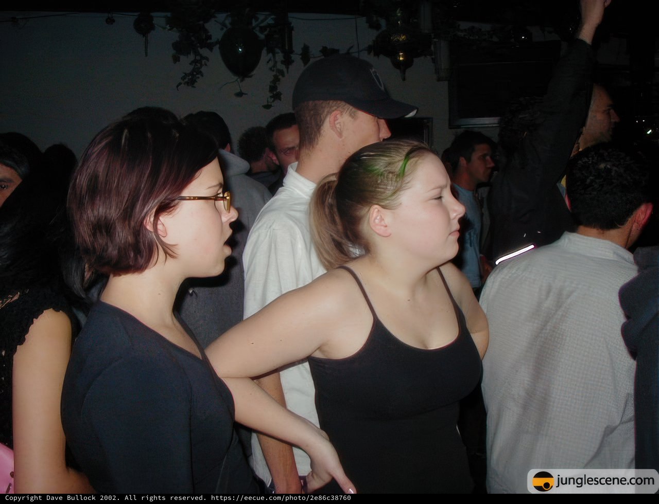 Nightclub Vibes