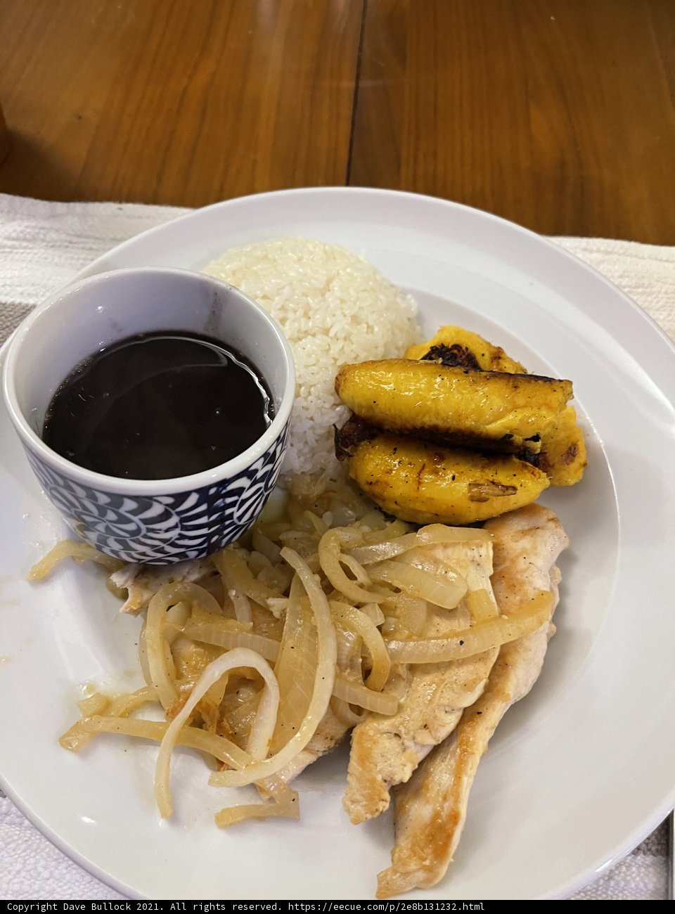 Savory Chicken and Rice Plate