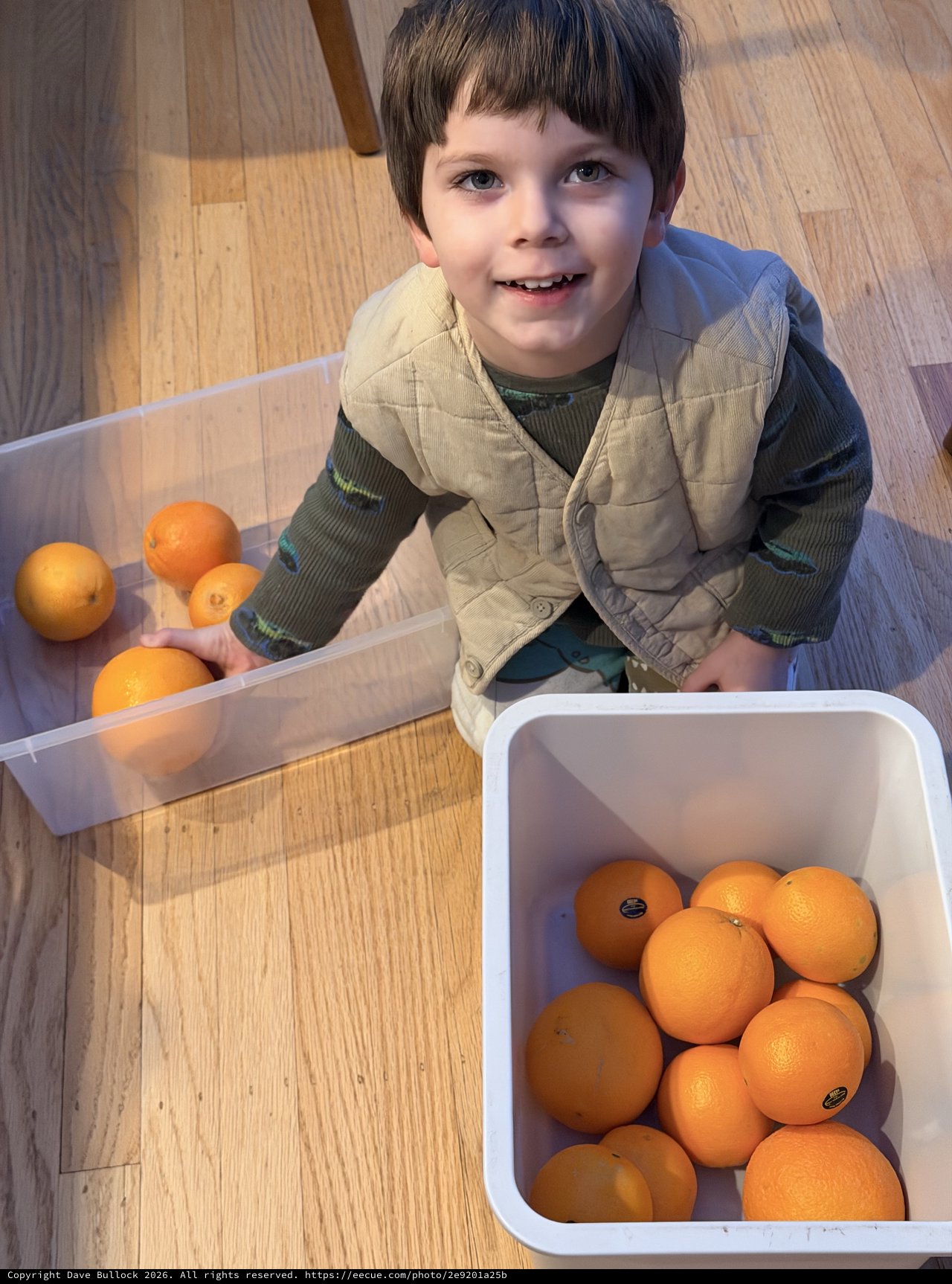 Young Boy Sorting Oranges on Kitchen Floor