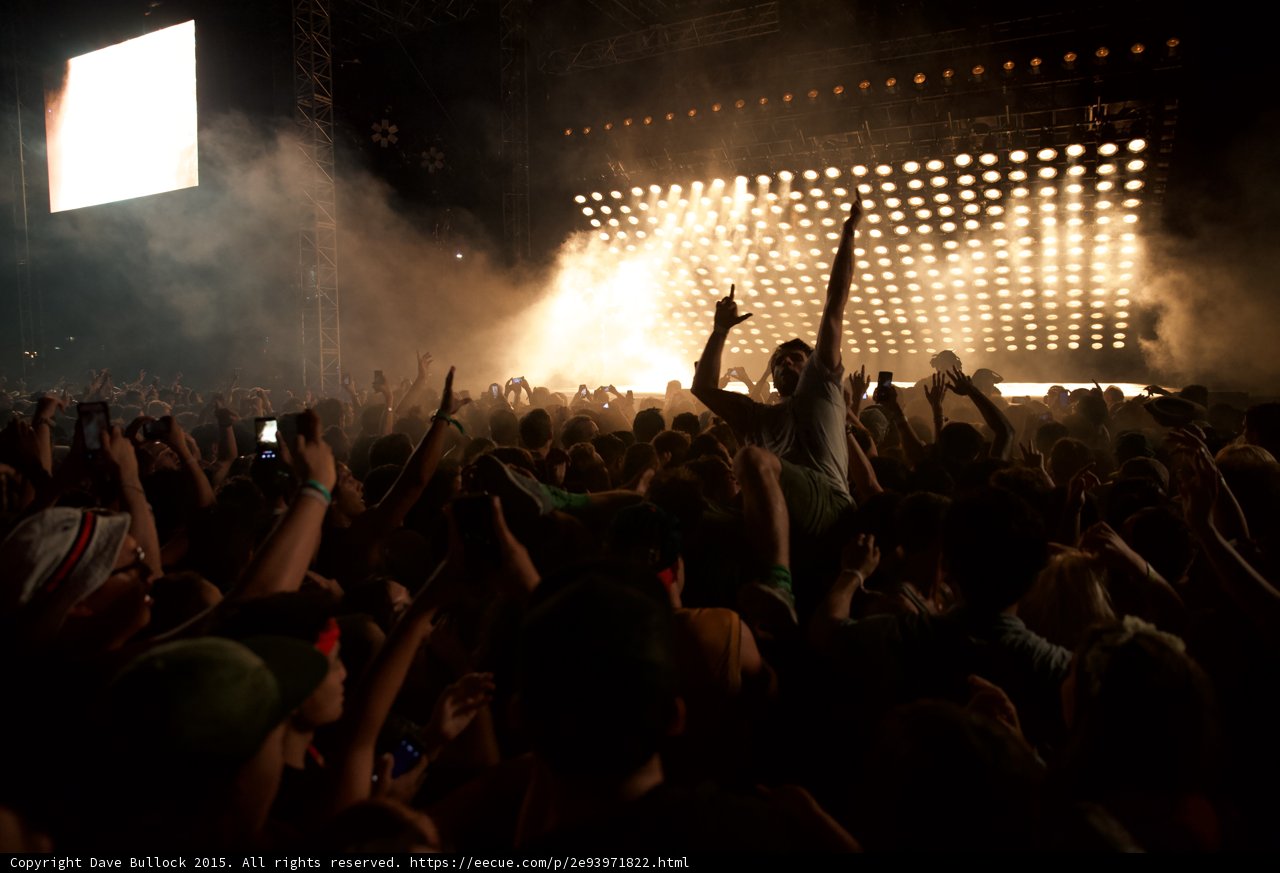 Fan Raised Arm Shoulders