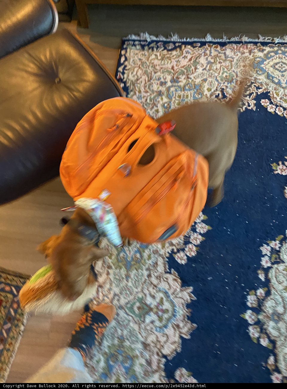 Ready for Adventure