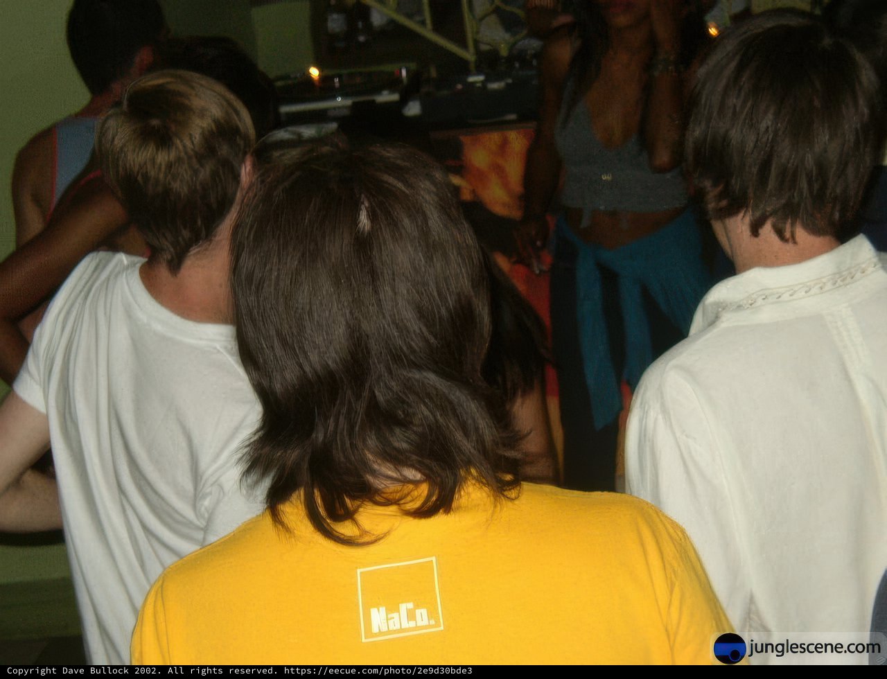 Night Club Crowd