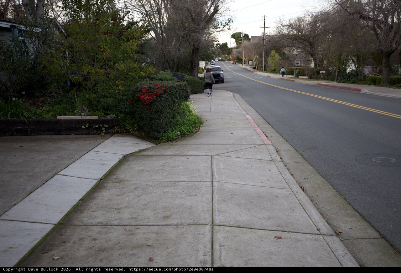 Residential Suburban Street with Winding Sidewalk at Dusk