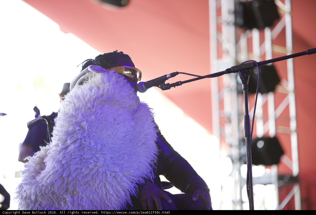 Fur and Fingers: A Singer Takes the Stage