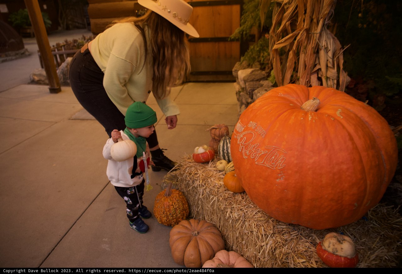 A Memorable Day at the Pumpkin Patch