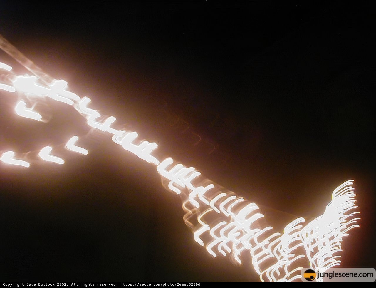 Illuminated Giraffe
