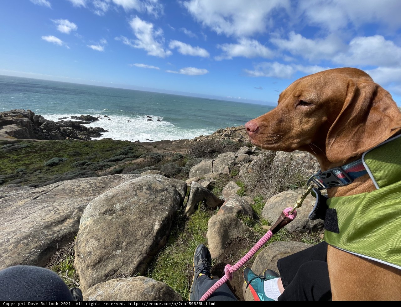 Overlooking the Ocean