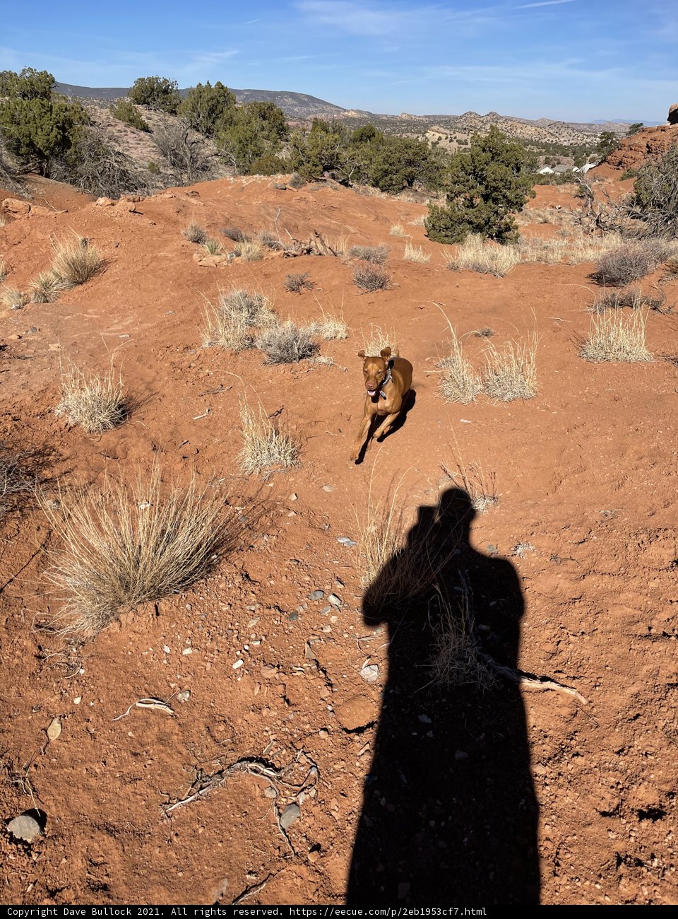 Lone Figure in the Wilderness