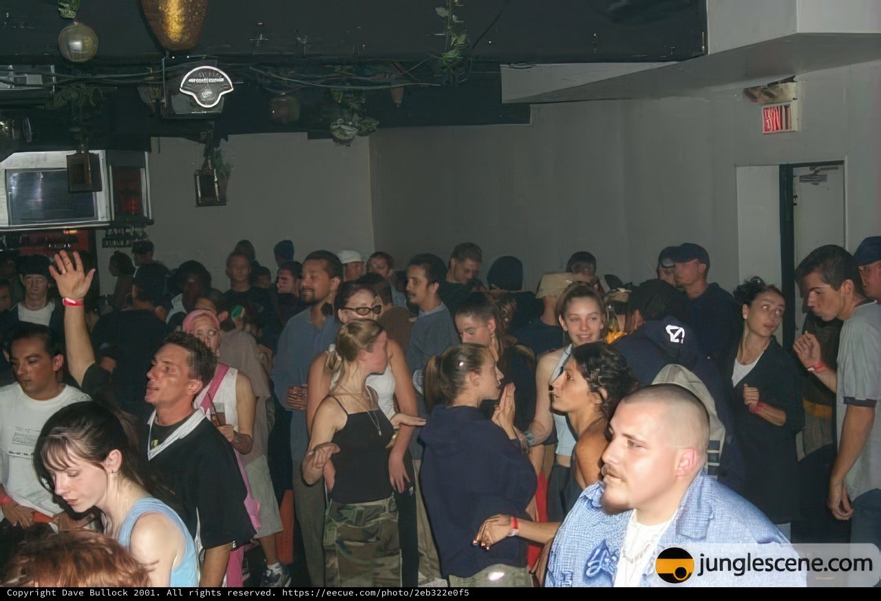 Nightclub Madness