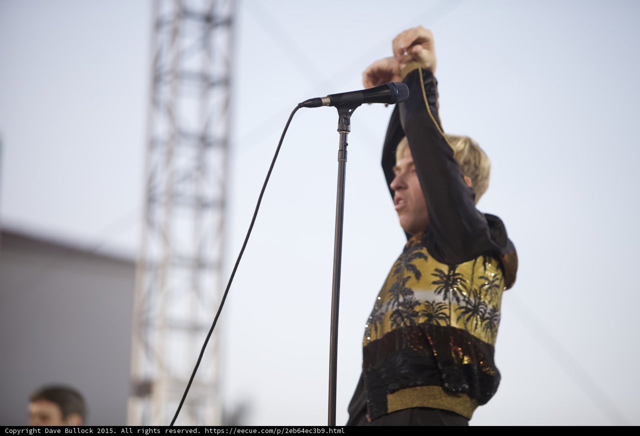 Microphone Stand Pose