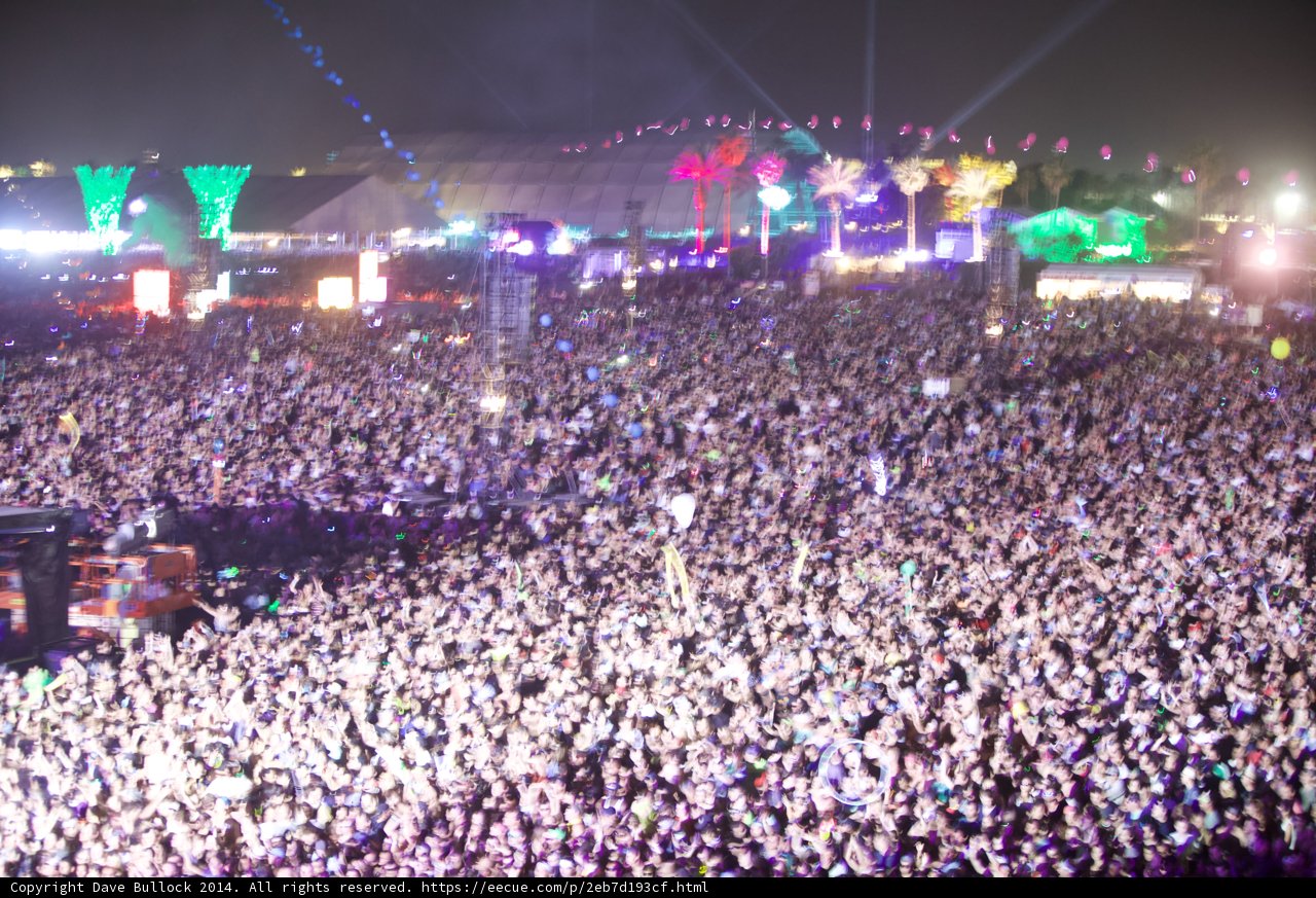 Energized Crowd at Music Festival