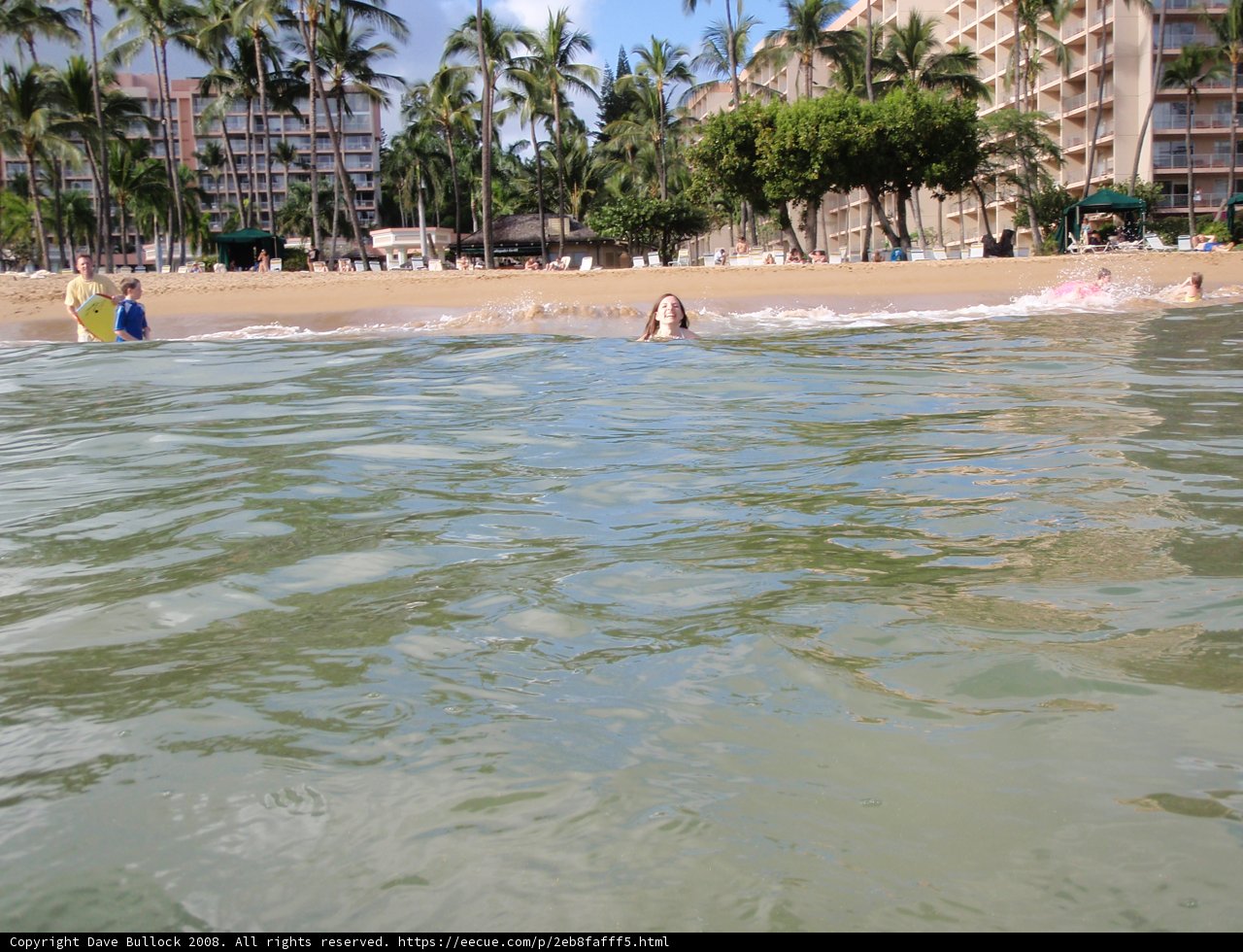 Summer Fun at the Tropical Resort