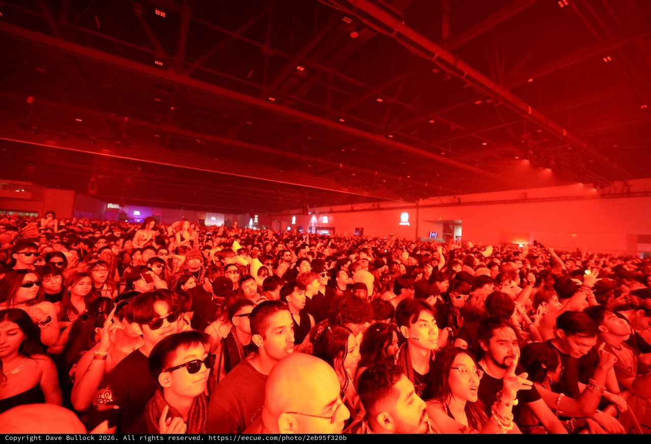 Massive Crowd Bathed in Red Light at Wobbleland
