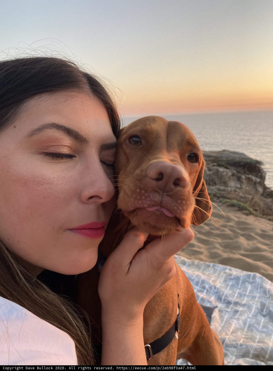 Woman and Canine Companion at the Shoreline
