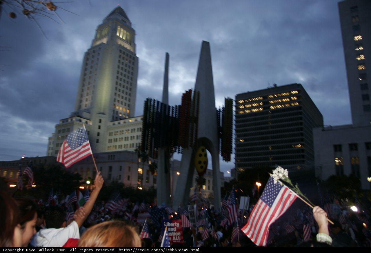 Patriotic Crowd