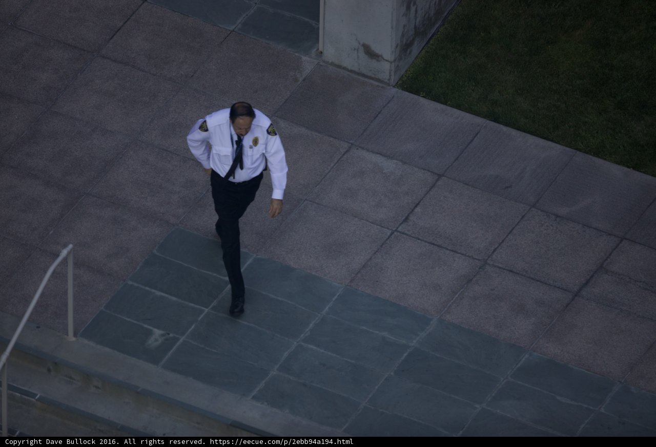 The Walking Businessman