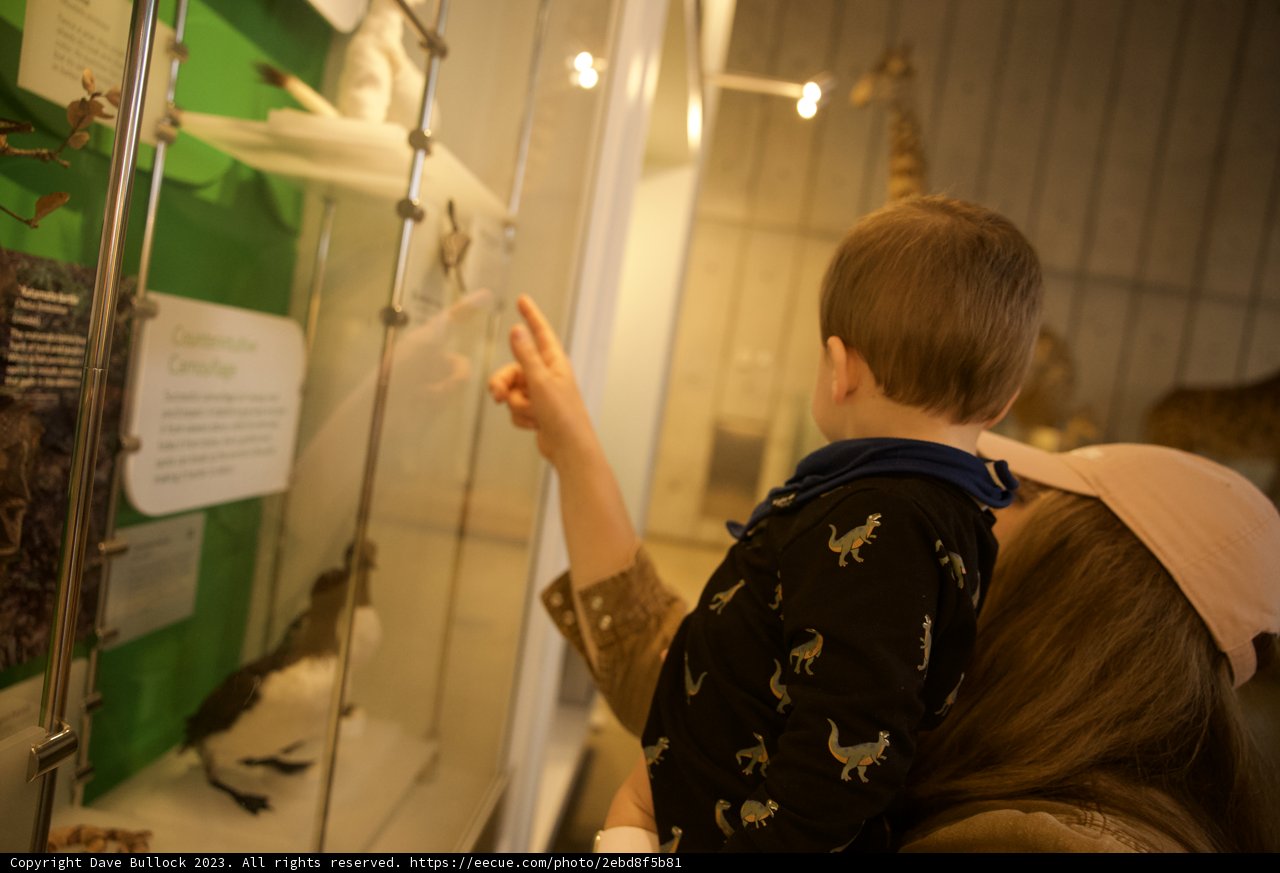 A Day of Discovery at the Academy of Sciences