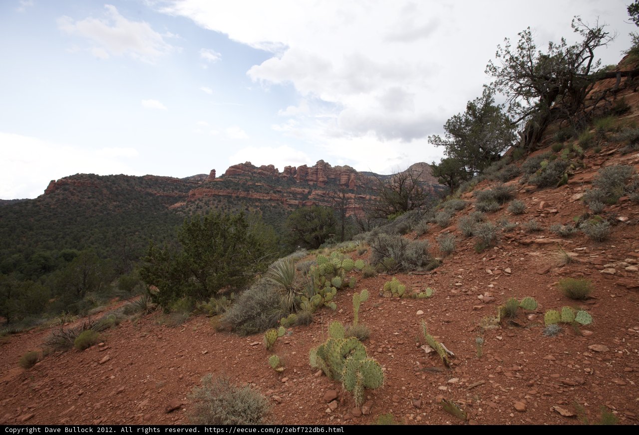 Red Rocks and Cactus Plants Under a Cloudy Sky