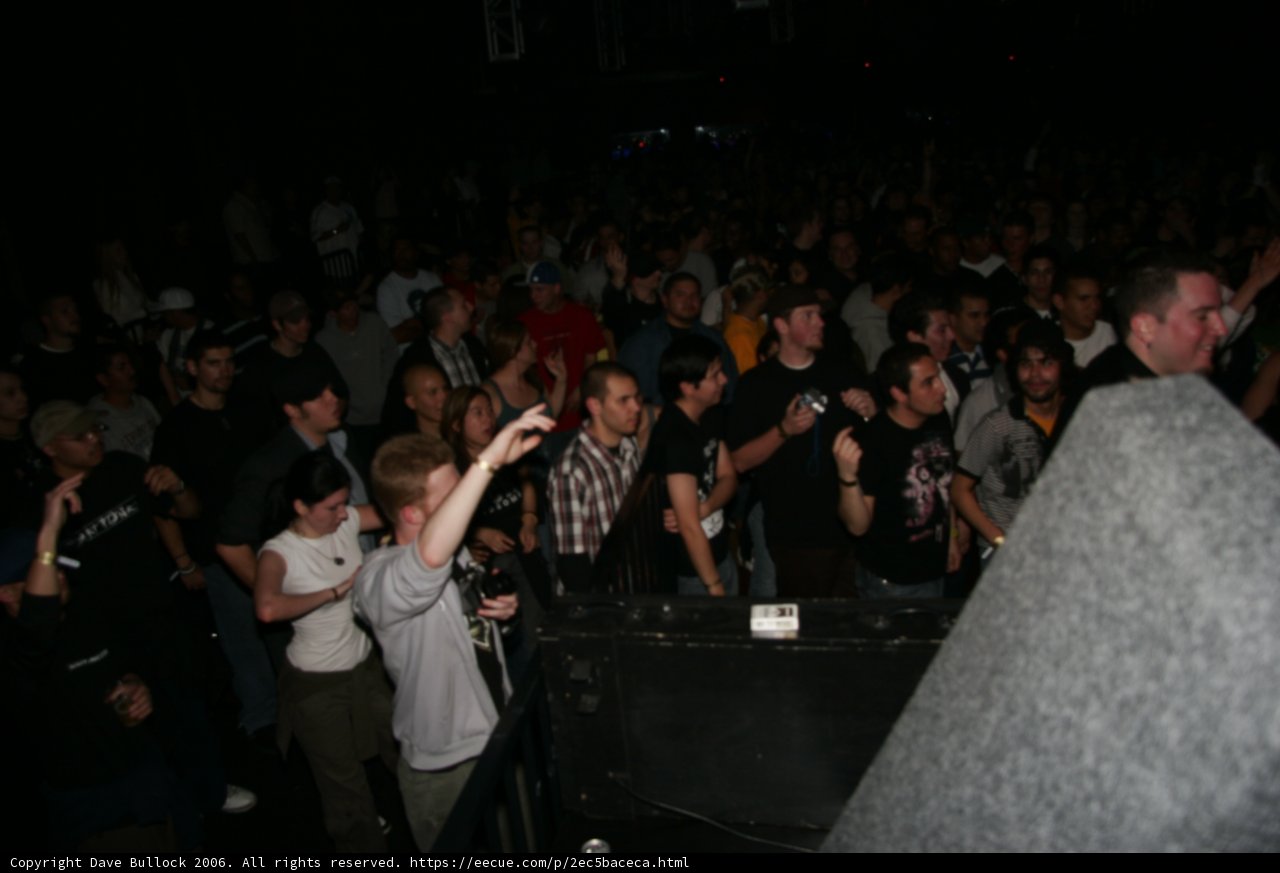 Funky Crowd Vibes