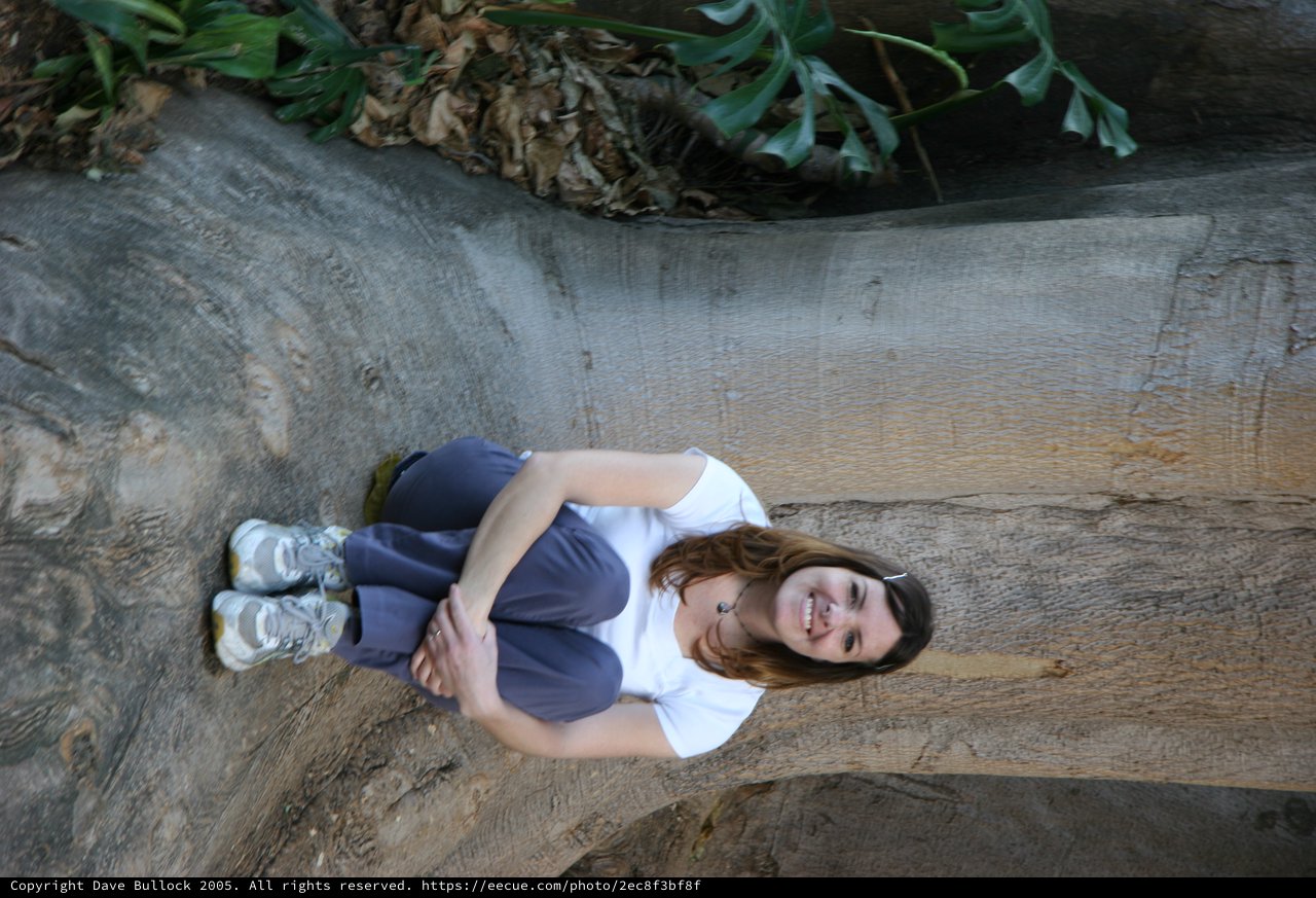 Woman Smiling Against Massive Tropical Tree Roots