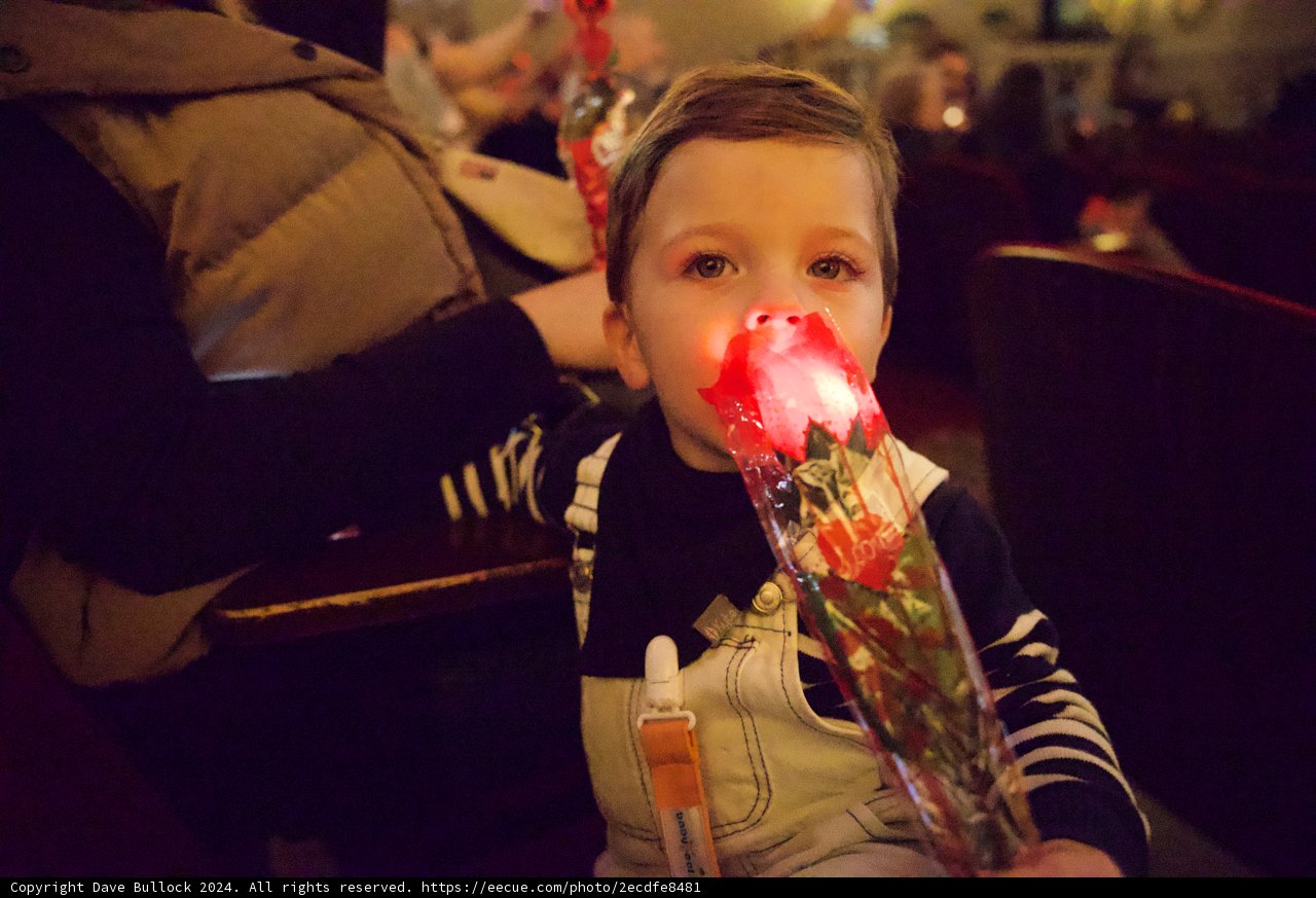 Blossoming Youth: Theuxtaposition of Innocence and Play