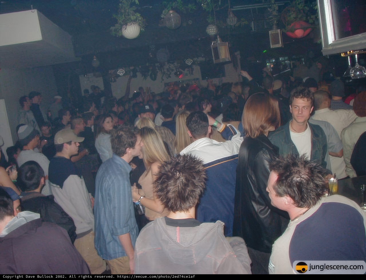 Nightclub Fun