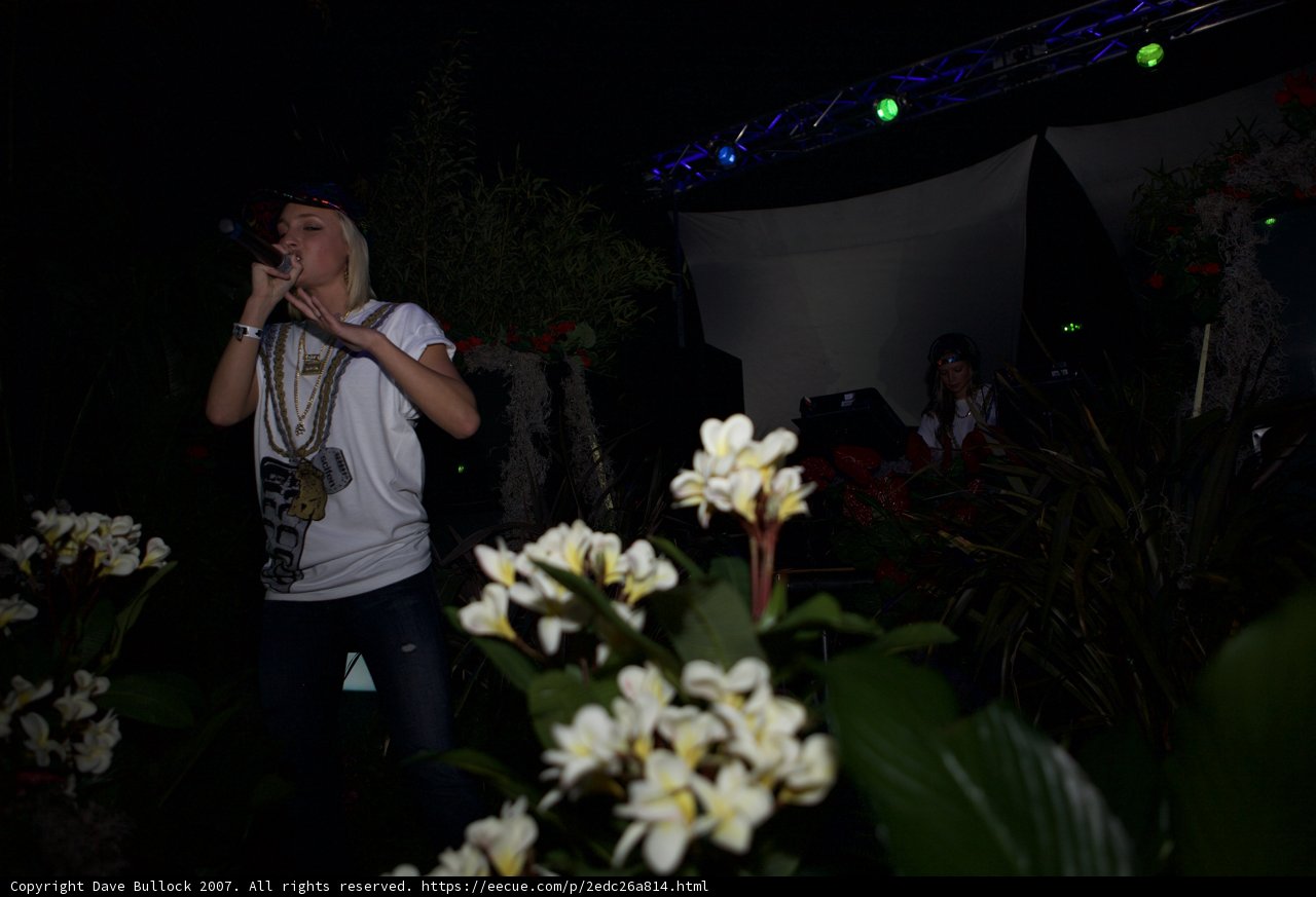 Blooming Performance